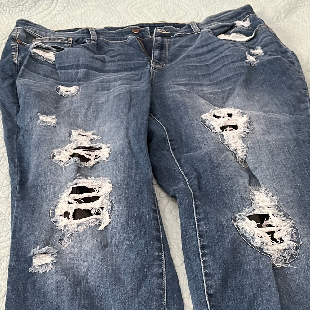 Plus size Judy Blue Jeans